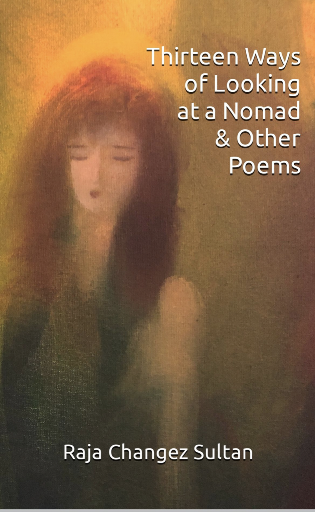 Book cover for thirteen ways of looking at a nomad